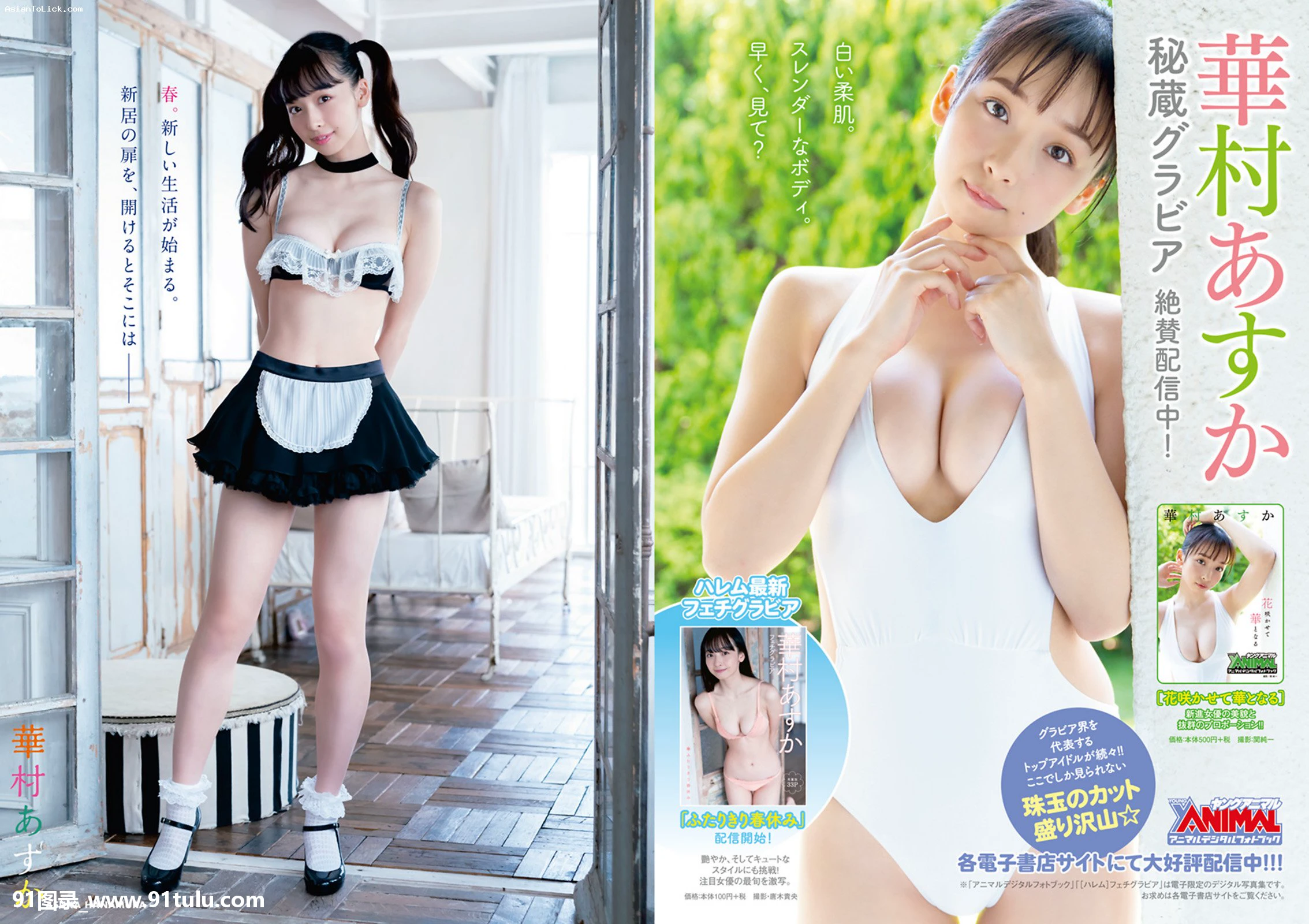 [Young Animal] 2021 No.07 Asuka Hanamura 华村あすか Amisa Miyazaki 宫崎あみさ [10P][iphone 機種変 写真 移行しない]